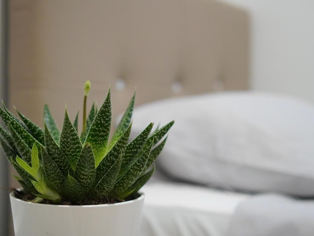 Modern City Centre Two Bedroom Windsor Apartment - Grand Central House Gibraltar Zewnętrze zdjęcie